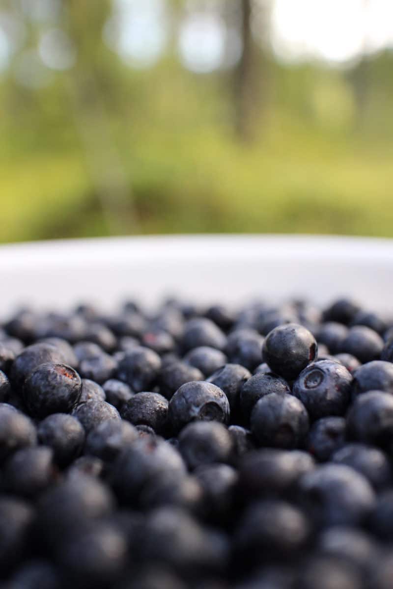 Close-up of fresh berries in a bucket outdoors