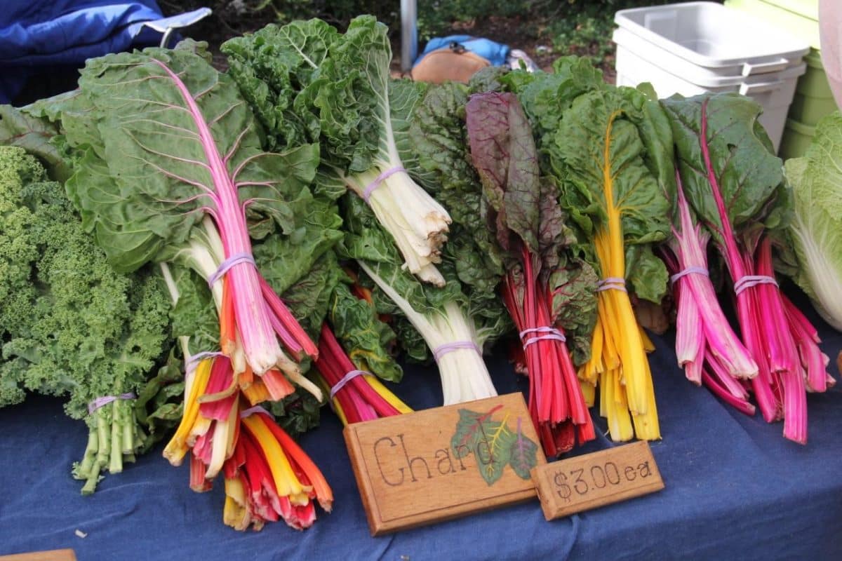 Bundles of colorful swiss chard for sale at a farmer's market