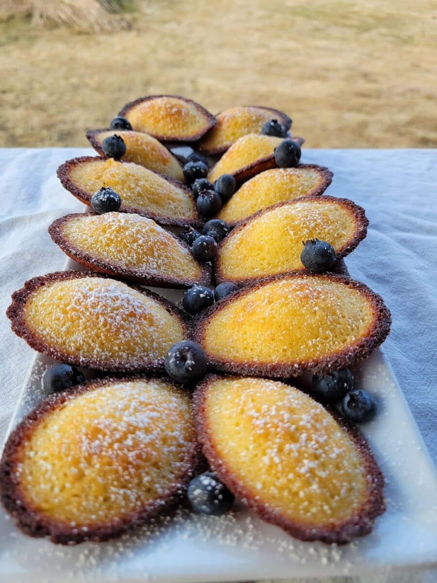 Photo of Madeleines made by Dan Grimes