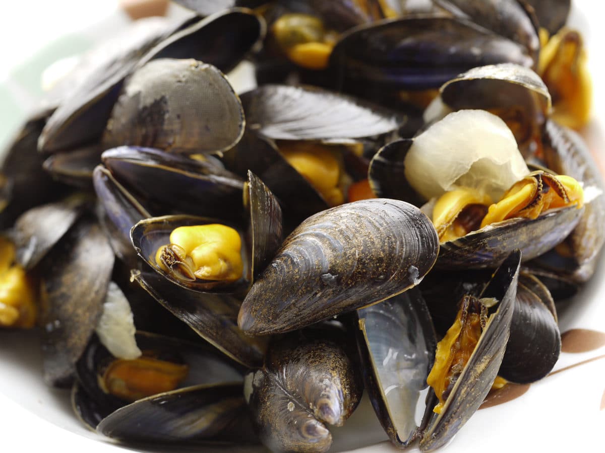Close-up of mussels with visible textures and details