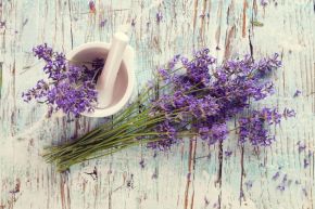 Overhead shot of lavender flowers in a spoon.