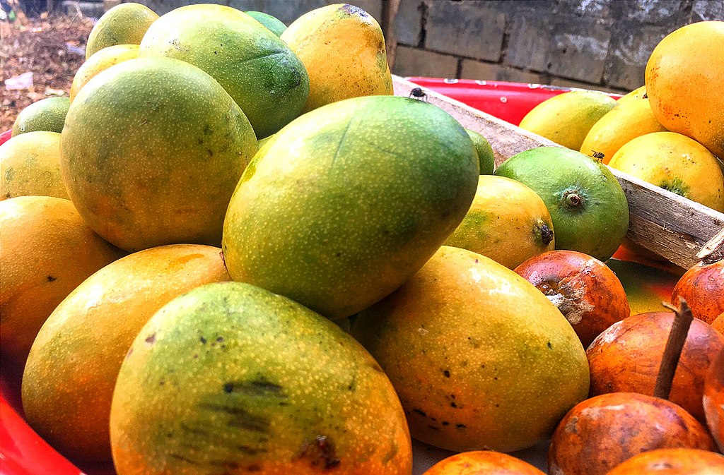 Assortment of fresh mangoes in a basket.