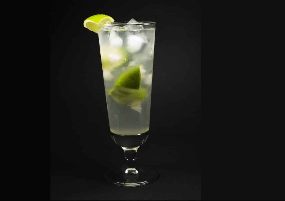 Gin Rickey cocktail with lime slices in a tall glass