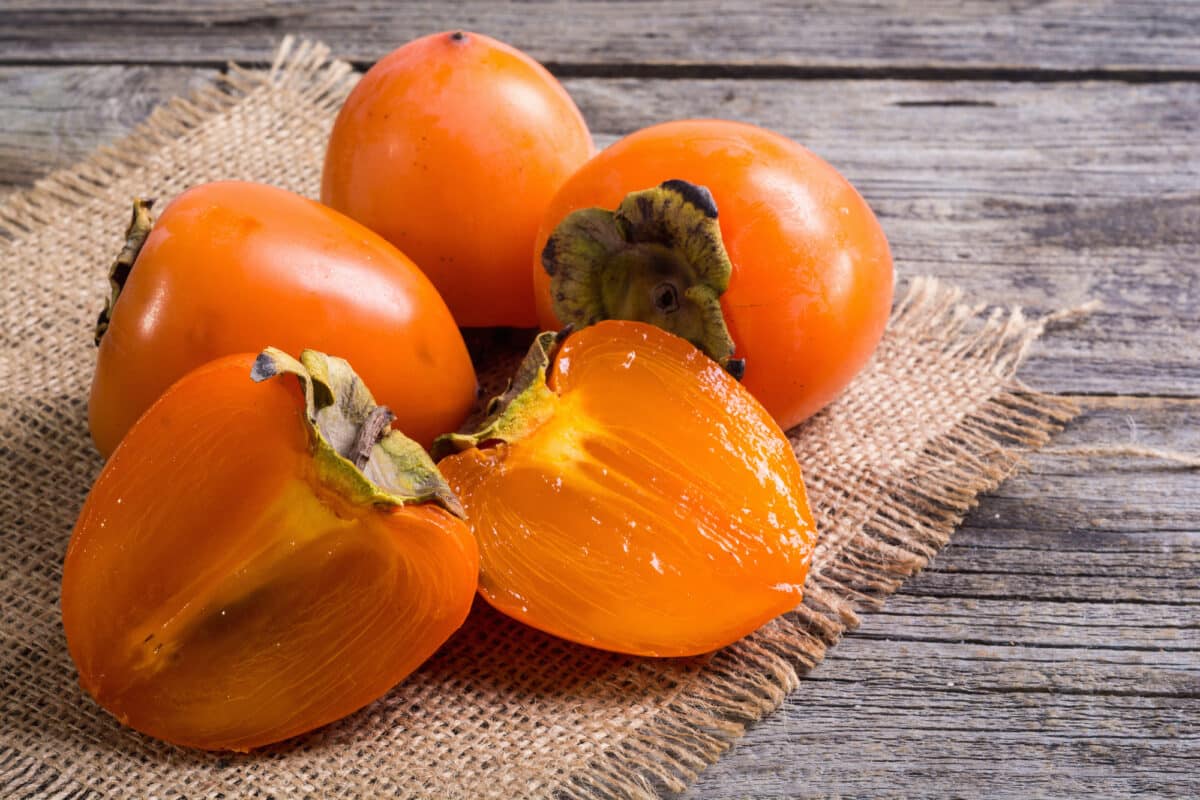 What are Persimmons?