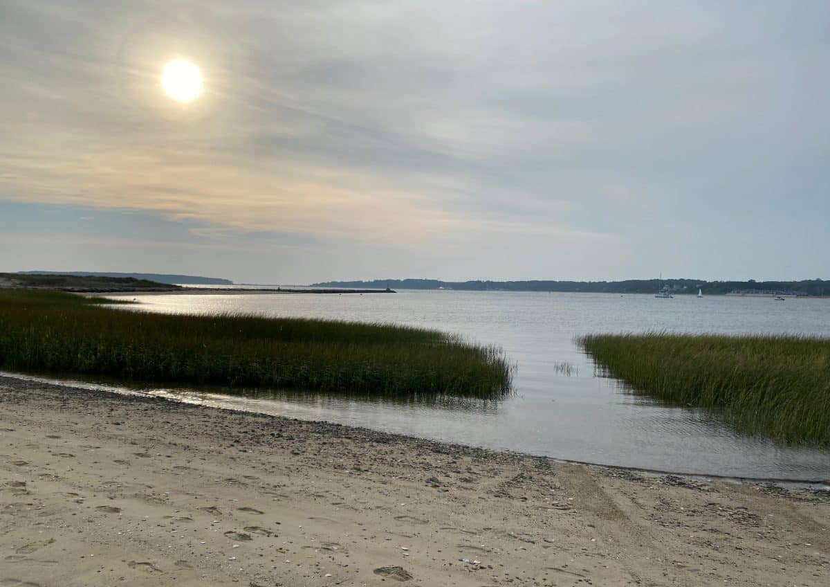 A calm beach scene showing the clam flats during receding tide.