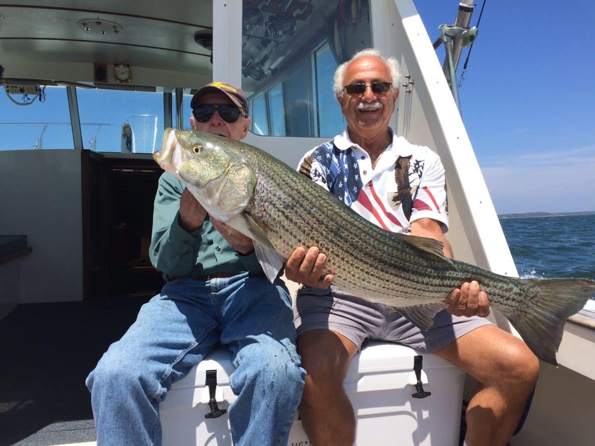 Two men on a boat proudly showcasing a large striped bass