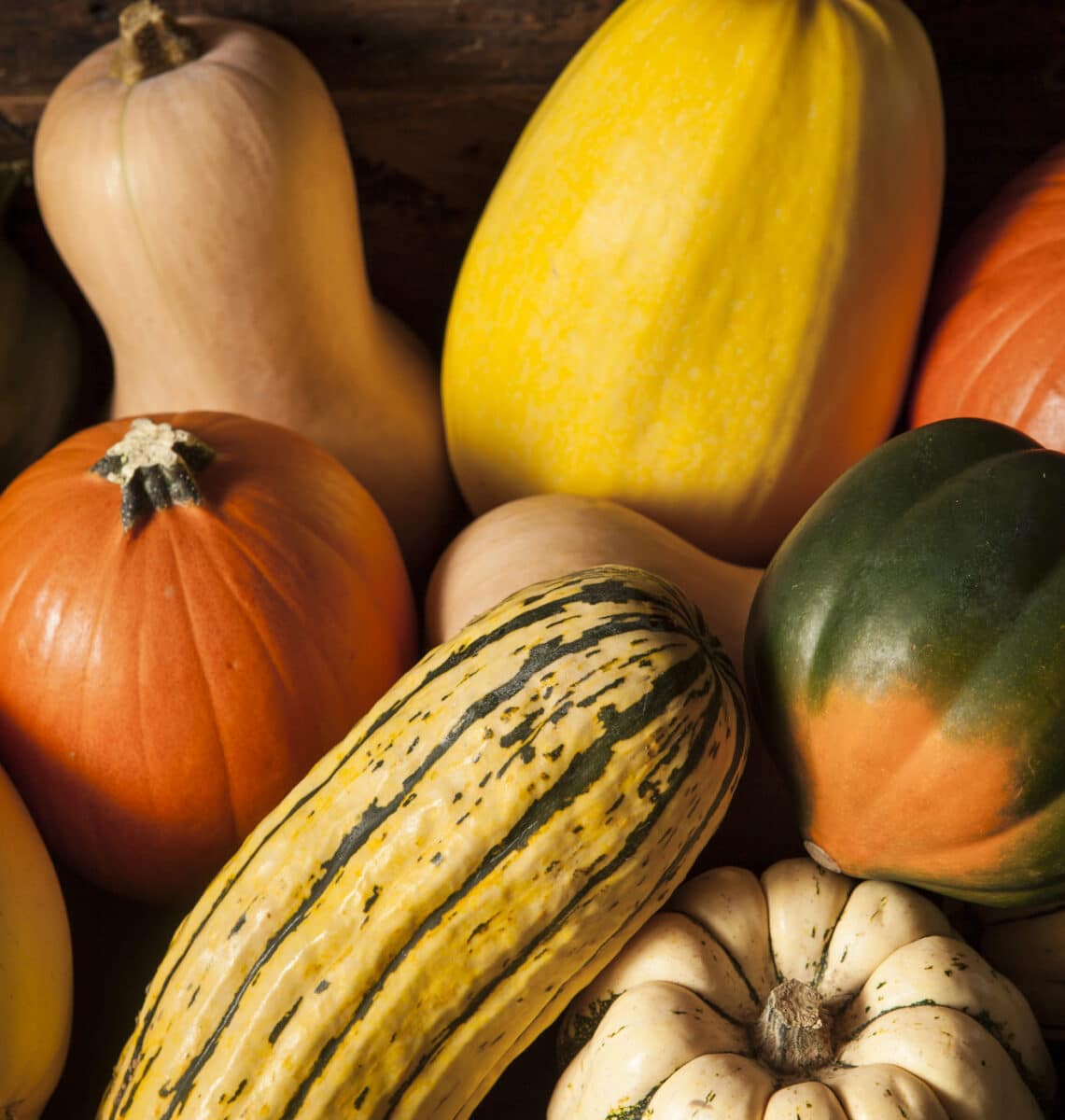 winter squash