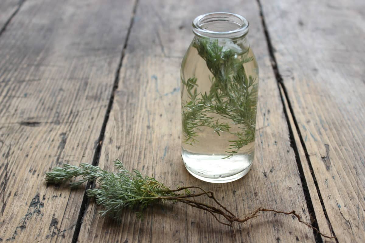 Glass jar with wormwood on wooden surface.