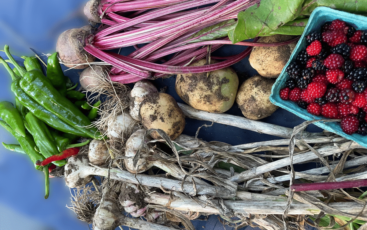 An array of fresh produce including berries, beets, and potatoes at a farmers market.